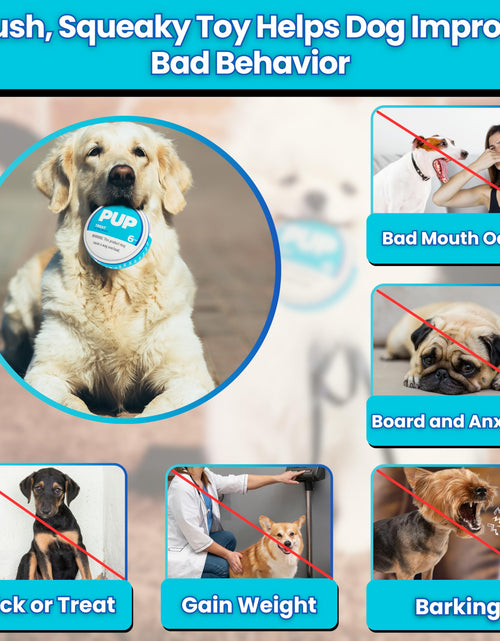 Load image into Gallery viewer, PUP6 PUP Pouch Plush Squeaky Durable Interactive Dog Chew Toy Plush
