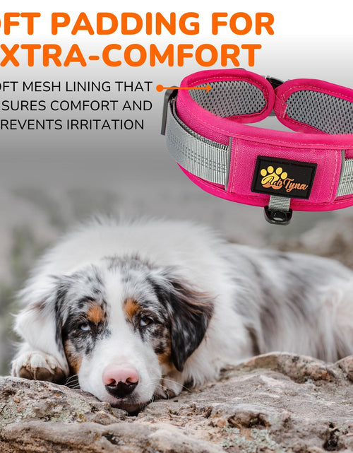 Load image into Gallery viewer, ADITYNA Durable 2-inch AirTag Dog Collar Reflective Metal Buckle Pink Size M
