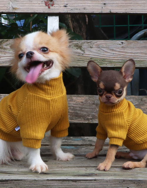 Load image into Gallery viewer, LOPHIPETS Small Dog Turtleneck Sweater Teacup Chihuahua Yorkie Yellow Size XXS
