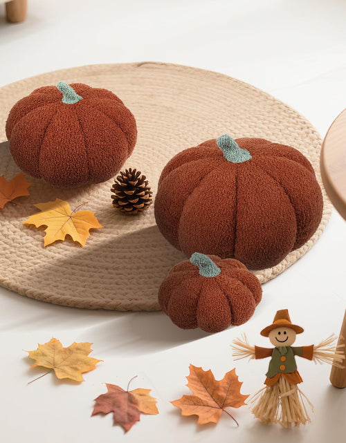 Load image into Gallery viewer, RoseCraft Pumpkin Throw Pillows 3Pc Brown 12/10/8in Fall Thanksgiving
