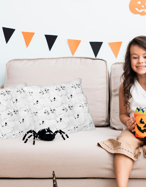 Load image into Gallery viewer, RBQXNW Halloween Pillow Covers 18x18 White Cat Ghost Set of 2 Plush
