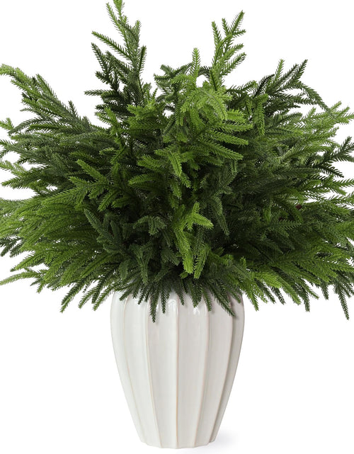Load image into Gallery viewer, Wsorik 12Pcs 24 Inch Norfolk Pine Stems Artificial Greenery Branches
