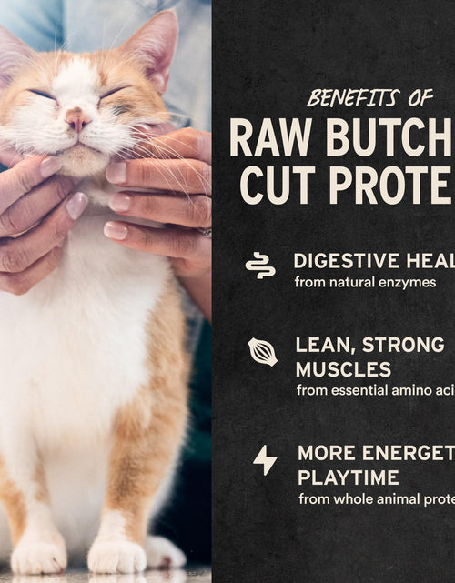 Load image into Gallery viewer, Vital Essentials Freeze Dried Cat Treats Salmon Bites Grain Free 1.1 oz

