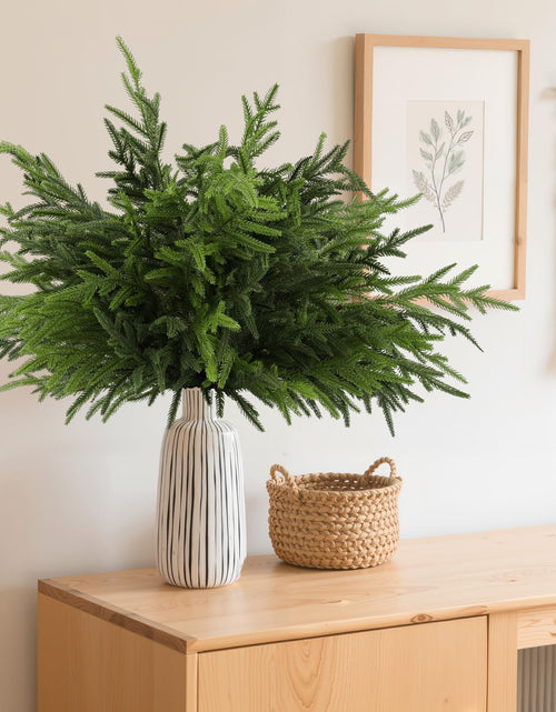 Load image into Gallery viewer, Wsorik 12Pcs 24 Inch Norfolk Pine Stems Artificial Greenery Branches
