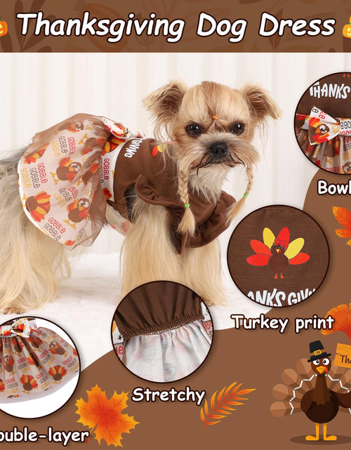 Load image into Gallery viewer, Sebaoyu Thanksgiving Dog Dress Brown Turkey Outfit Medium Size
