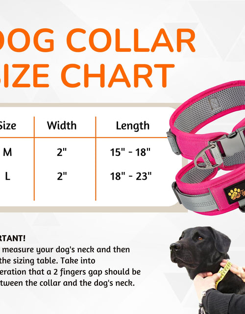 Load image into Gallery viewer, ADITYNA Durable 2-inch AirTag Dog Collar Reflective Metal Buckle Pink Size M
