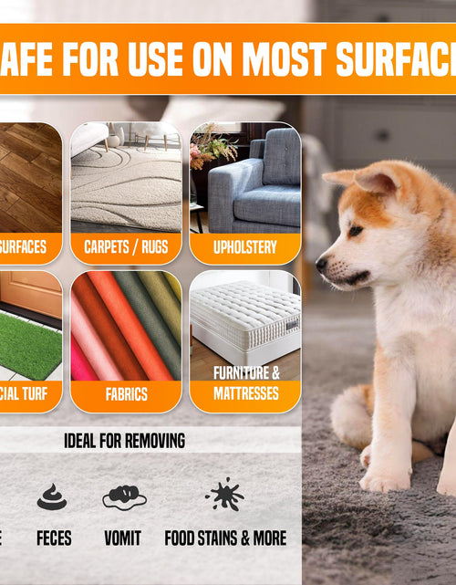 Load image into Gallery viewer, pureng PNG Vitality Stain &amp; Odor Eliminator 16.9oz Pet Odor Neutralizer
