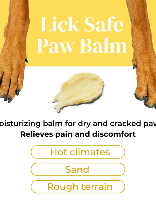 Load image into Gallery viewer, Divine Canine Summer Essentials Dog Care Kit Sunscreen Paw Balm
