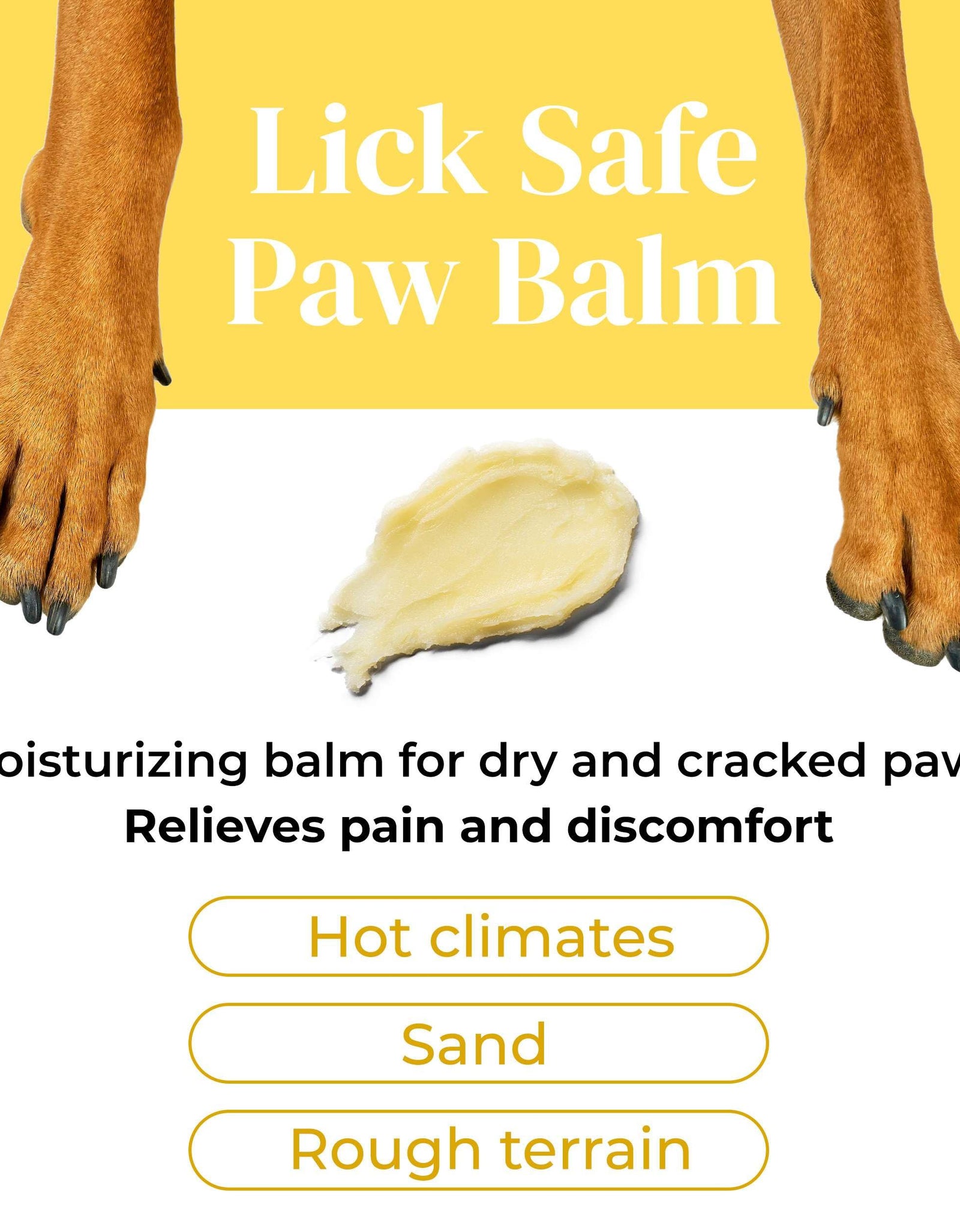 Divine Canine Summer Essentials Dog Care Kit Sunscreen Paw Balm