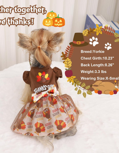 Load image into Gallery viewer, Sebaoyu Thanksgiving Dog Dress Brown Turkey Outfit Medium Size
