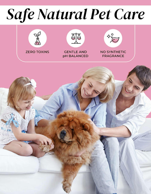 Load image into Gallery viewer, Dog Paw Cleaner Spray 5.1oz Alcohol Free Rosewater Aloe Copaiba Lemongrass USA
