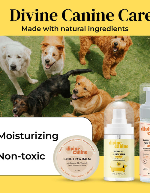 Load image into Gallery viewer, Divine Canine Summer Essentials Dog Care Kit Sunscreen Paw Balm
