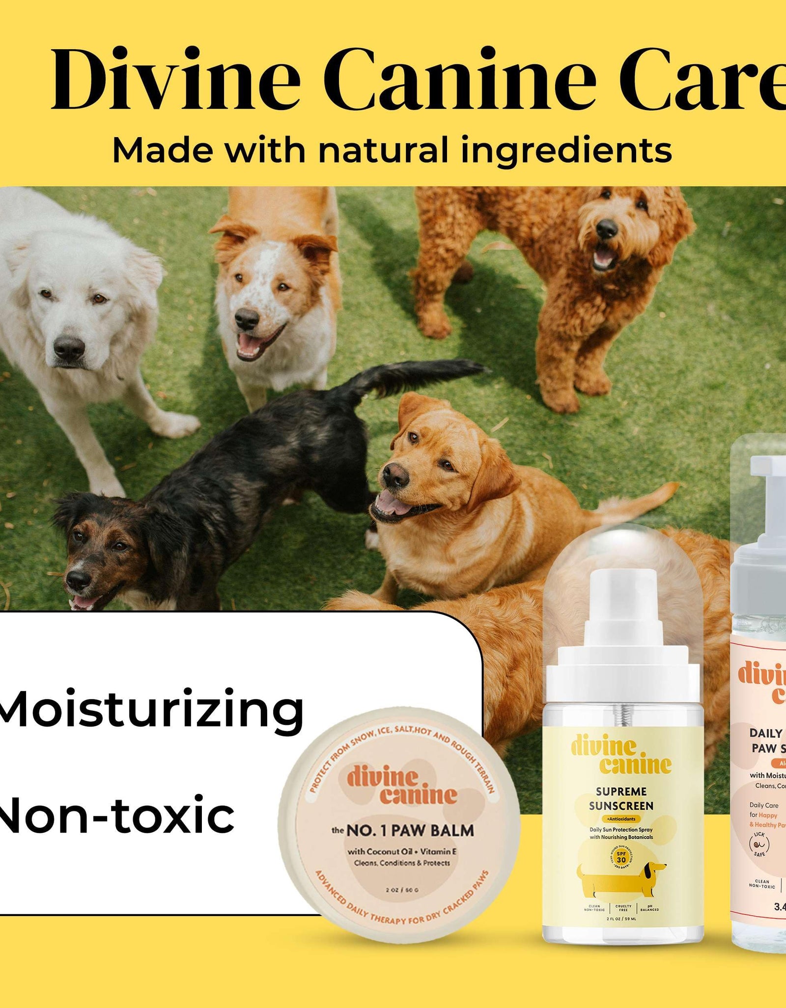 Divine Canine Summer Essentials Dog Care Kit Sunscreen Paw Balm
