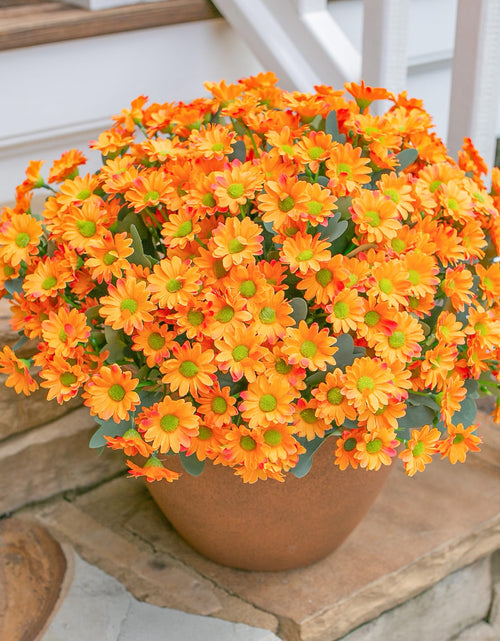 Load image into Gallery viewer, INSPRING Daisy Artificial Outdoor Silk Flowers 6 Bundles Orange UV Resistant
