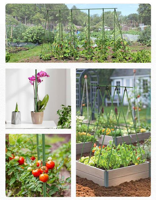 Load image into Gallery viewer, Joyhalo 20 Pack 17in Modular Garden Trellis Kit Green for Tomatoes Grapes
