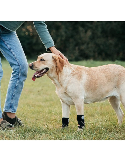 Load image into Gallery viewer, NeoAlly 3-in-1 Front Leg Dog Splint Brace: Rigid &amp; Spring Inserts, Safety Reflective Straps (Pair)
