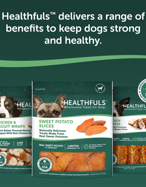 Load image into Gallery viewer, Healthfuls Sweet Potato Slices Dog Treats Grain Free Limited Ingredient 16 oz
