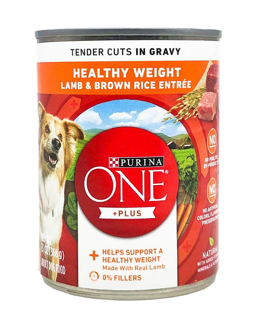 Load image into Gallery viewer, Purina ONE SmartBlend Tender Cuts Lamb &amp; Brown Rice Wet Dog Food 0.93lb
