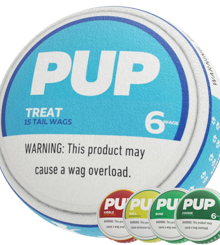 PUP6 PUP Pouch Plush Squeaky Durable Interactive Dog Chew Toy Plush