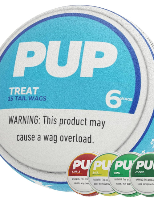 Load image into Gallery viewer, PUP6 PUP Pouch Plush Squeaky Durable Interactive Dog Chew Toy Plush

