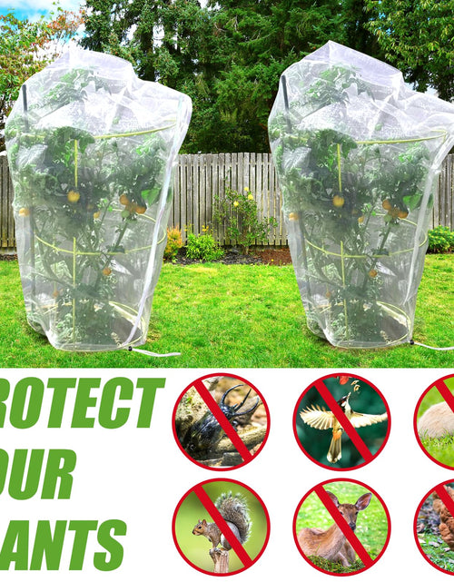 Load image into Gallery viewer, H.Romo Fruit Tree Netting 8x8ft Clear Garden Bird Pest Barrier 1 Pack
