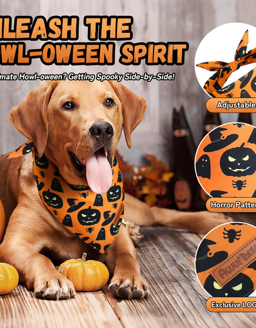 Load image into Gallery viewer, Awumbuk Halloween Dog Bandanas 2 Pack Reversible Pumpkin Spider Web Black
