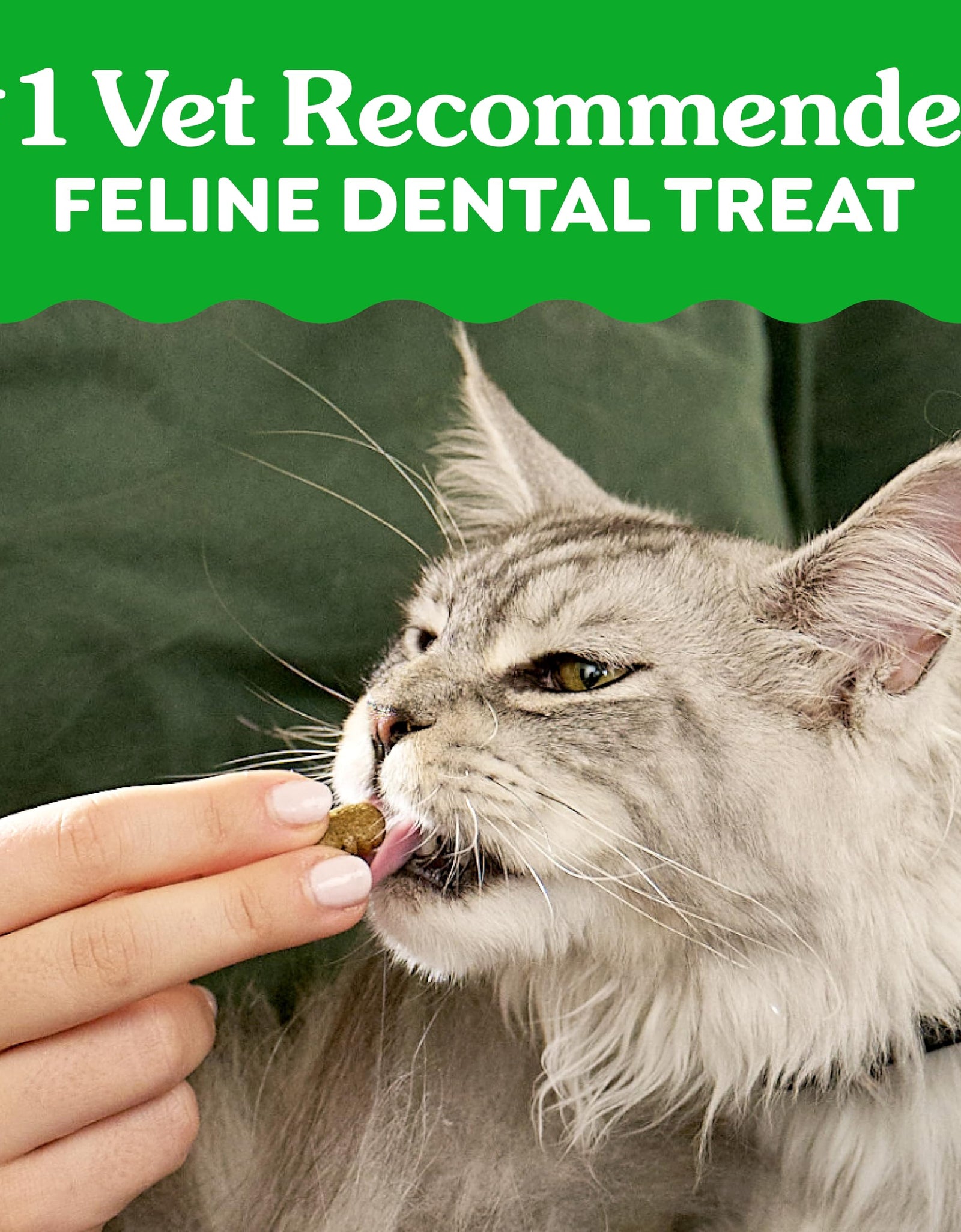Greenies Cat Treats Adult Natural Dental Tuna Flavor 9.75 oz Tub BEST BY.02/2026
