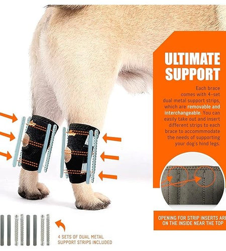 NeoAlly 3-in-1 Short Rear Leg Hock Brace for Smaller Dogs with Rigid and Spring Inserts | Safety Reflective Straps [Short Version] (Pair)