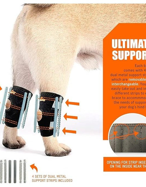 Load image into Gallery viewer, NeoAlly 3-in-1 Short Rear Leg Hock Brace for Smaller Dogs with Rigid and Spring Inserts | Safety Reflective Straps [Short Version] (Pair)
