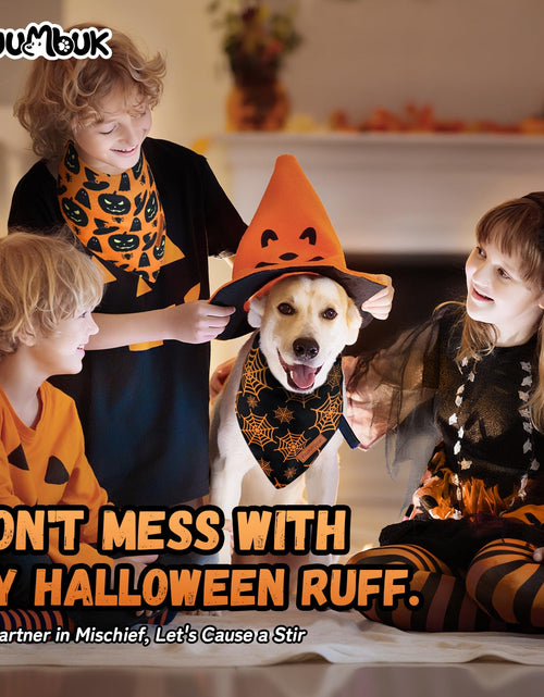 Load image into Gallery viewer, Awumbuk Halloween Dog Bandanas 2 Pack Reversible Pumpkin Spider Web Black
