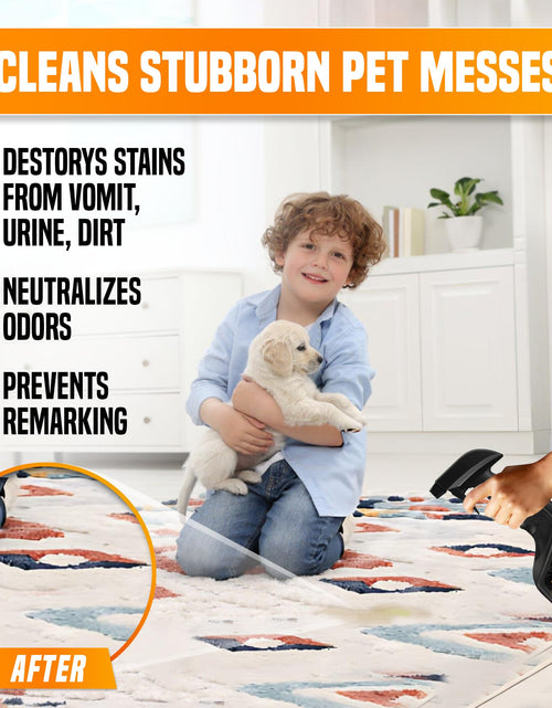 Load image into Gallery viewer, pureng PNG Vitality Stain &amp; Odor Eliminator 16.9oz Pet Odor Neutralizer
