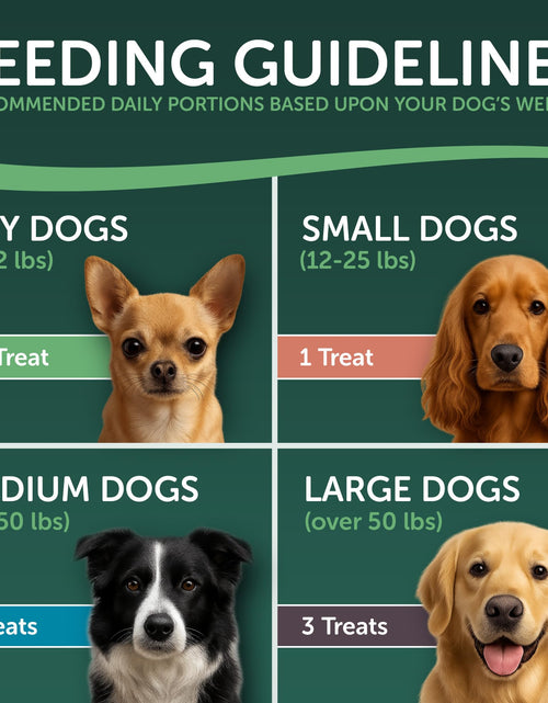 Load image into Gallery viewer, Healthfuls Sweet Potato Slices Dog Treats Grain Free Limited Ingredient 16 oz
