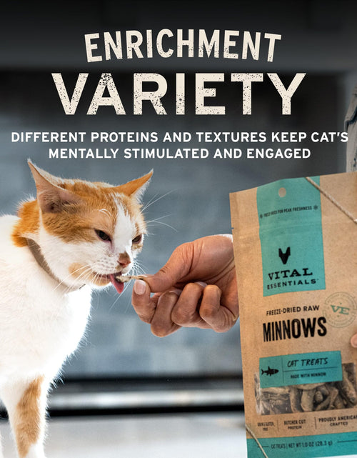 Load image into Gallery viewer, Vital Essentials Freeze Dried Cat Treats Salmon Bites Grain Free 1.1 oz
