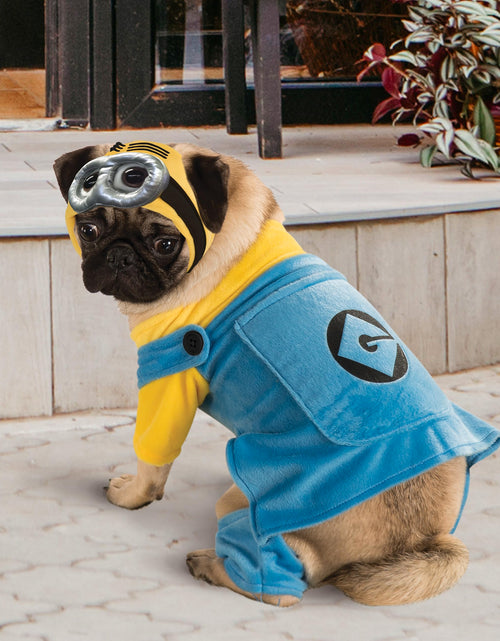 Load image into Gallery viewer, Rubies Despicable Me Minion Pet Costume Multicolor Size XL
