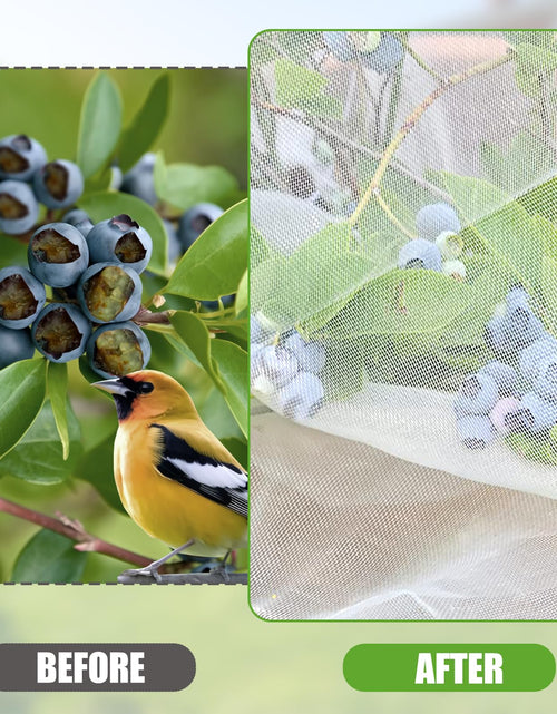 Load image into Gallery viewer, H.Romo Fruit Tree Netting 8x8ft Clear Garden Bird Pest Barrier 1 Pack
