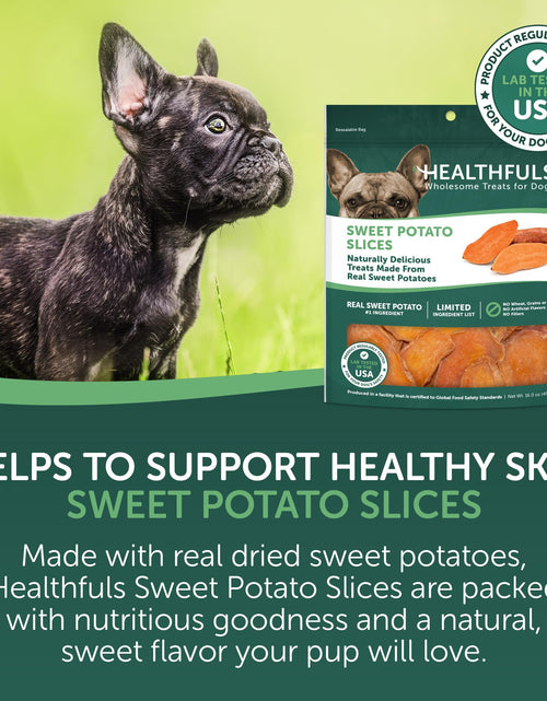 Load image into Gallery viewer, Healthfuls Sweet Potato Slices Dog Treats Grain Free Limited Ingredient 16 oz
