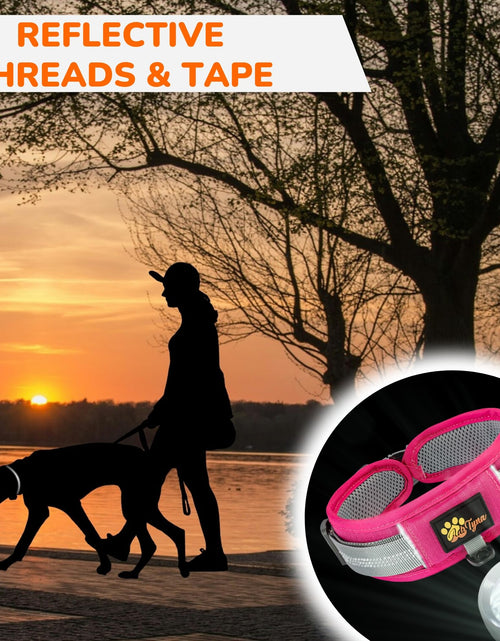 Load image into Gallery viewer, ADITYNA Durable 2-inch AirTag Dog Collar Reflective Metal Buckle Pink Size M
