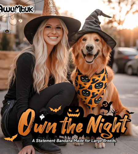 Awumbuk Halloween Dog Bandanas 2 Pack Reversible Pumpkin Spider Web Black