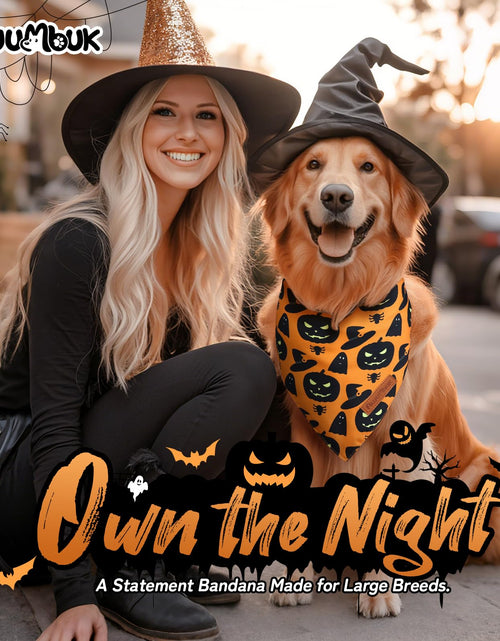 Load image into Gallery viewer, Awumbuk Halloween Dog Bandanas 2 Pack Reversible Pumpkin Spider Web Black
