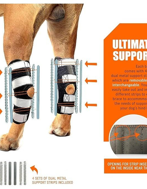 Load image into Gallery viewer, NeoAlly 3-in-1 Long Rear Leg Hock Brace - Rigid and Spring Inserts | Safety Reflective Straps [Long Version] (Pair)
