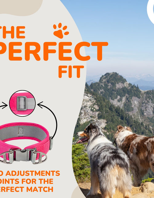 Load image into Gallery viewer, ADITYNA Durable 2-inch AirTag Dog Collar Reflective Metal Buckle Pink Size M
