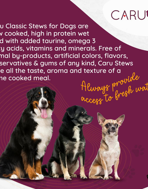 Load image into Gallery viewer, BestBy01/26 Caru Classics Chicken Stew Wet Dog Food 12oz Case of 12
