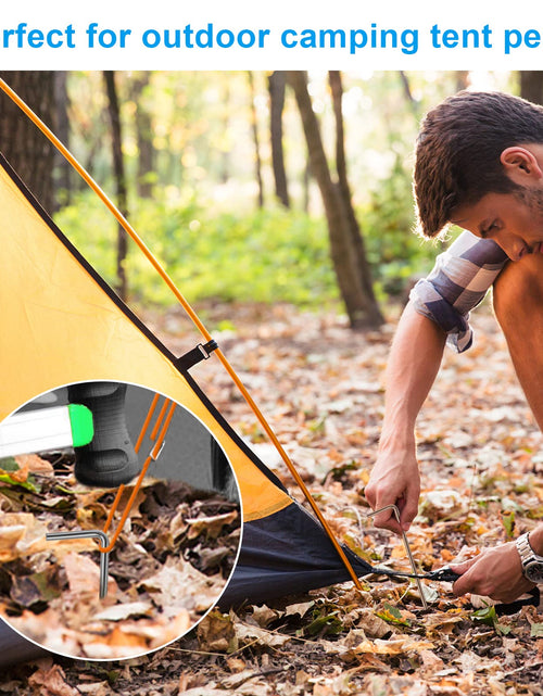 Load image into Gallery viewer, Oligei 17 Pack Heavy Duty Metal Tent Stakes Silver 18in Outdoor Use
