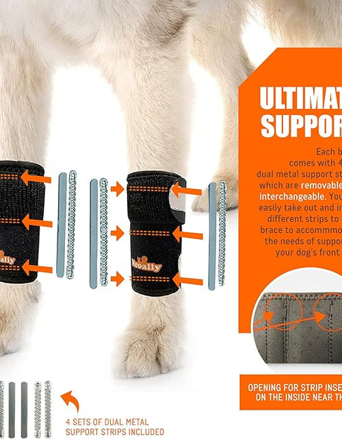 Load image into Gallery viewer, NeoAlly 3-in-1 Front Leg Dog Splint Brace: Rigid &amp; Spring Inserts, Safety Reflective Straps (Pair)
