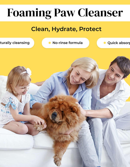 Load image into Gallery viewer, Divine Canine Summer Essentials Dog Care Kit Sunscreen Paw Balm
