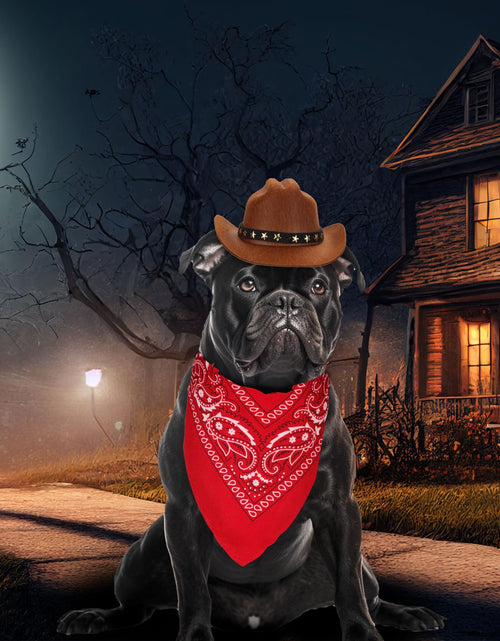 Load image into Gallery viewer, PEUTIER Pet Cowboy Costume Dog Hat &amp; Bandana Brown Red Small
