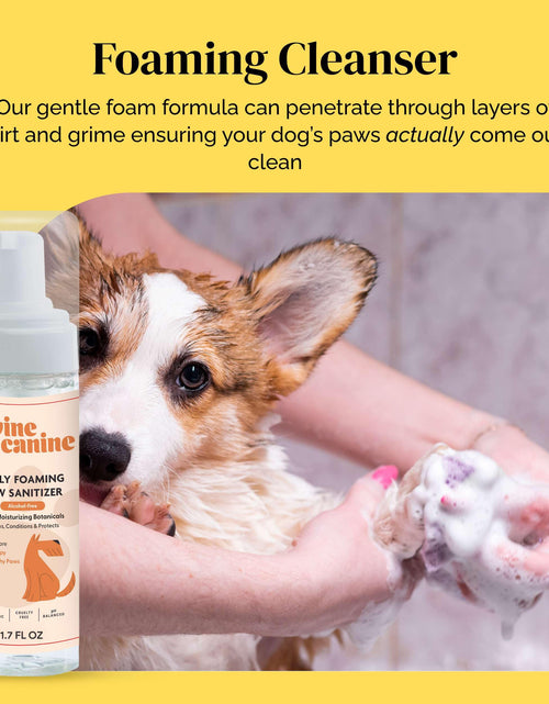 Load image into Gallery viewer, Divine Canine Summer Essentials Dog Care Kit Sunscreen Paw Balm
