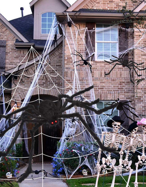 Load image into Gallery viewer, OCATO 200" Halloween Spider Web + 59" Giant Spider Decorations Black

