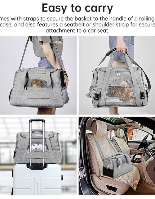 Load image into Gallery viewer, Foldable &amp; Expandable Pet Carrier Bag - Mesh Breathable Cat/Dog Travel Bag, Convertible Crossbody Handbag for Small Pets
