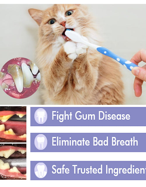 Load image into Gallery viewer, Pet V34 Toothpaste, Pet Clean Bad Breath Tartar Care Gum Care Toothpaste
